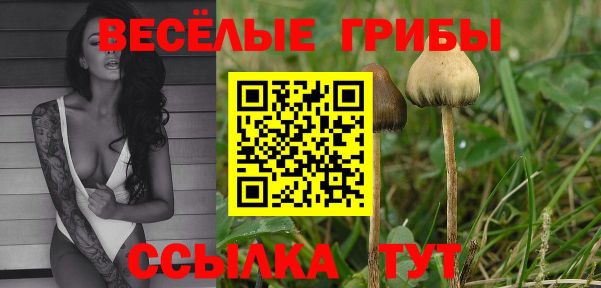 Галлюциногенные грибы мицелий Усть-Илимск